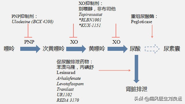 痛风患者降尿酸选哪种药？七种方法分辨尿酸生成过多还是排泄减少