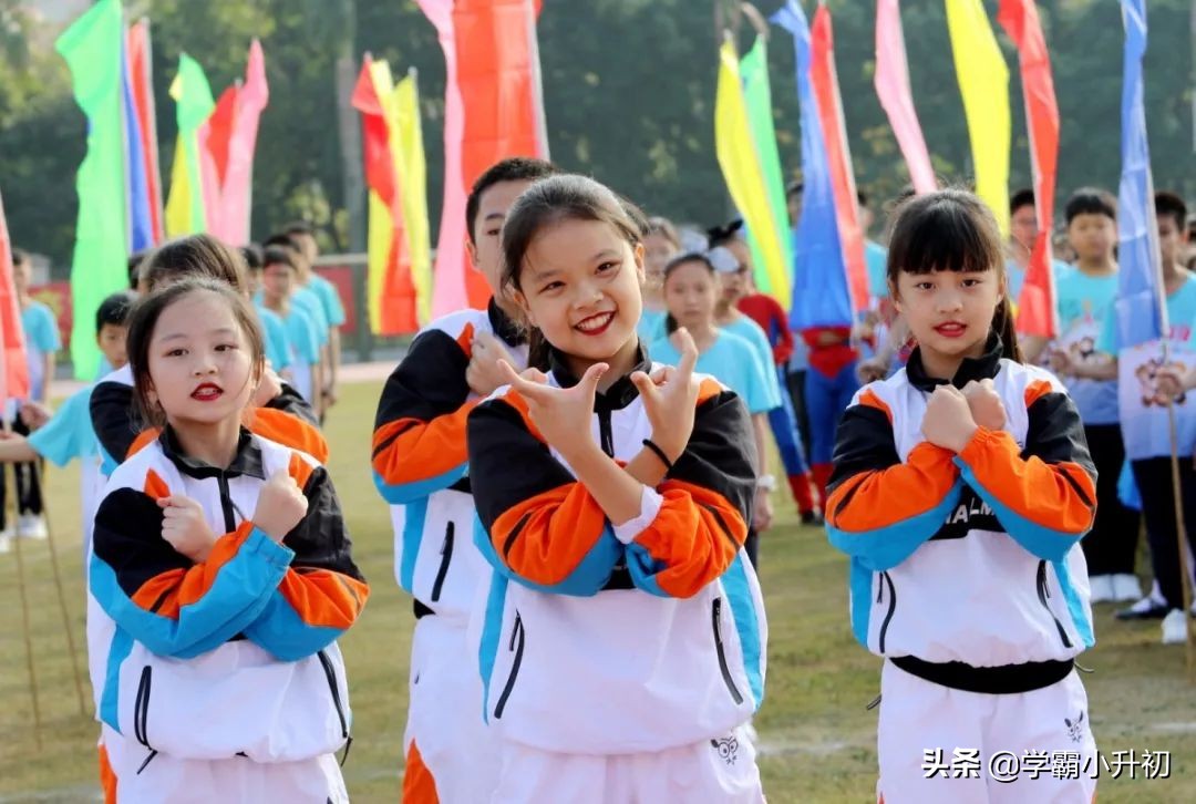 虎门外国语学校2019年小学一年级招生通告