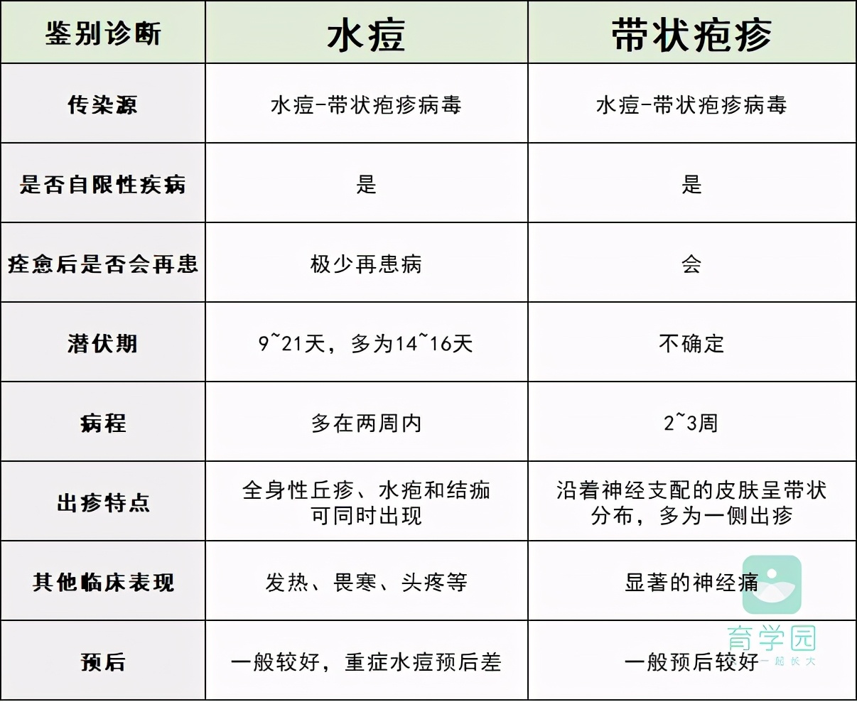 水痘高发！大人小孩都易中招，战“痘”攻略来了