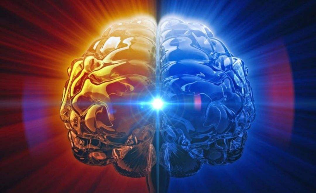 自我疗愈是生命本能，只需这样做就能重启本能，成为自己心理医生