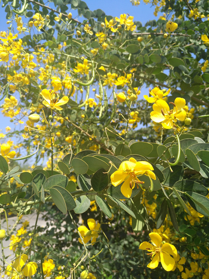 高考语文阅读答题须知：知人论世，解答才能做到客观公允