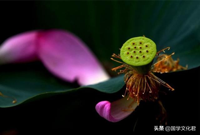 心烦的时候，多读读《道德经》中的这3句话，一切都会好起来