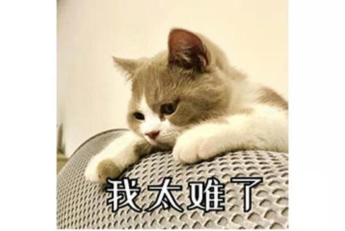 寒假在家正嗨呢,查到挂科了,整个人都不好了怎么办?