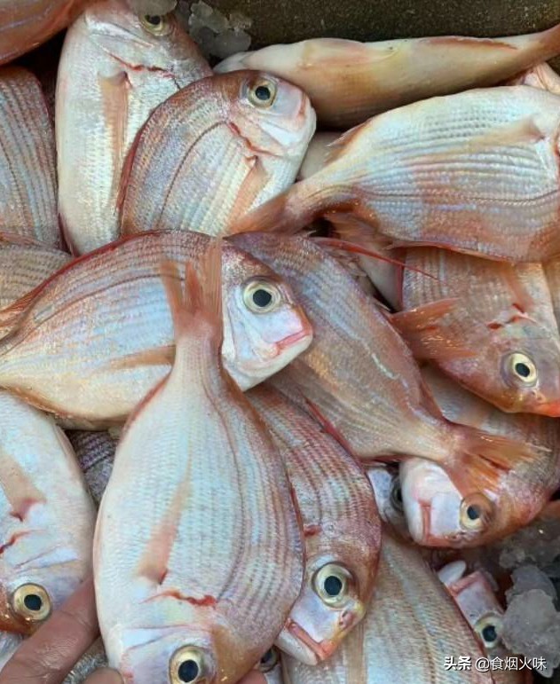 懂海鲜的人到菜市场就买这8种鱼,营养丰富味道鲜美,遇到别手软