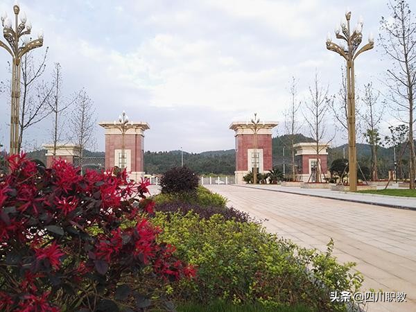 四川护理职业学院2019年单招计划出炉，医药卫生类考生火速关注