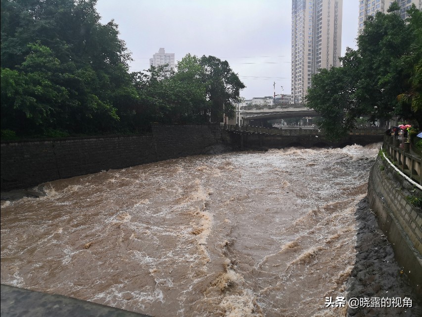 在隆昌，我幸运地遇见鹅洞飞雪