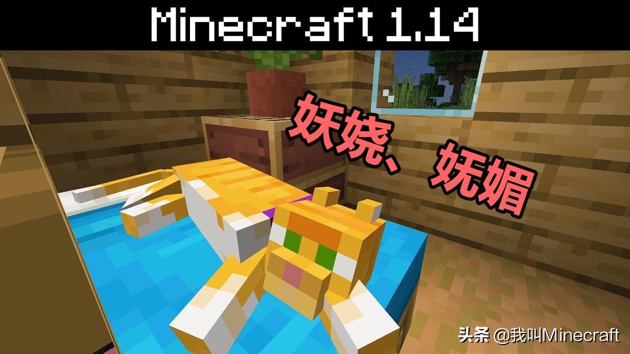 如何在《我的世界》里做一名合格的“铲屎官”？MC猫咪全攻略！