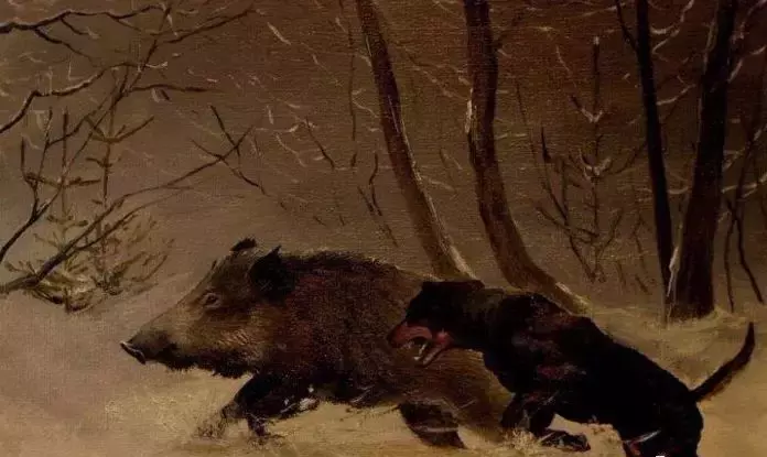 国外十种顶级猎犬，杜高才排第四，第一你想不到