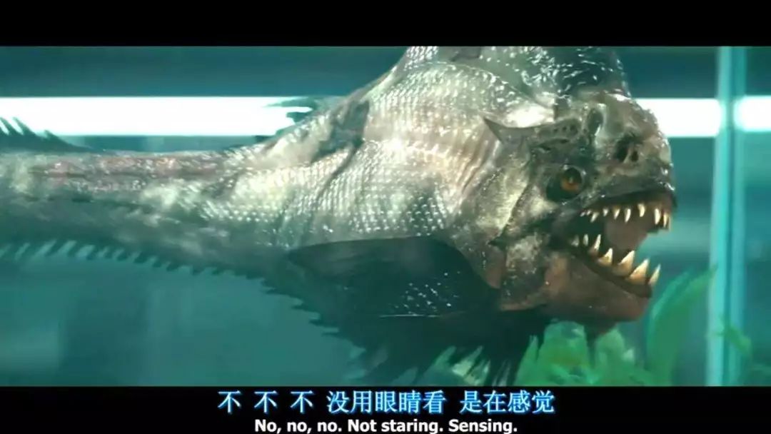 关于虱子变异的电影电影绝命小魔星变异的虱子