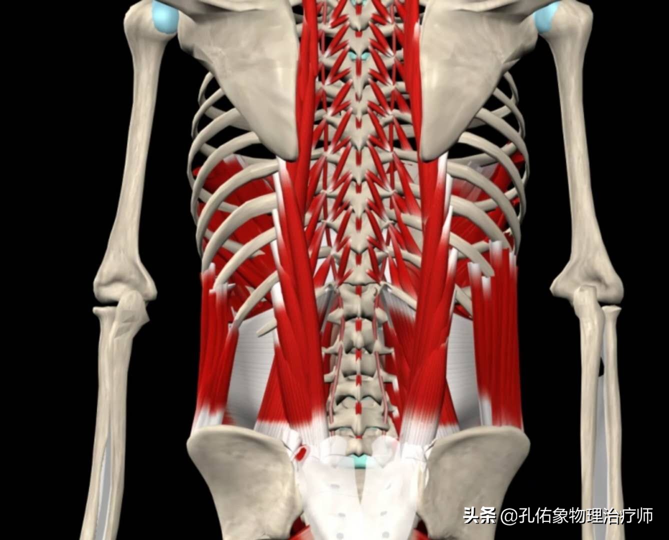 腰臀部疼或下肢麻木，是腰椎间盘突出吗？9种疾病需鉴别