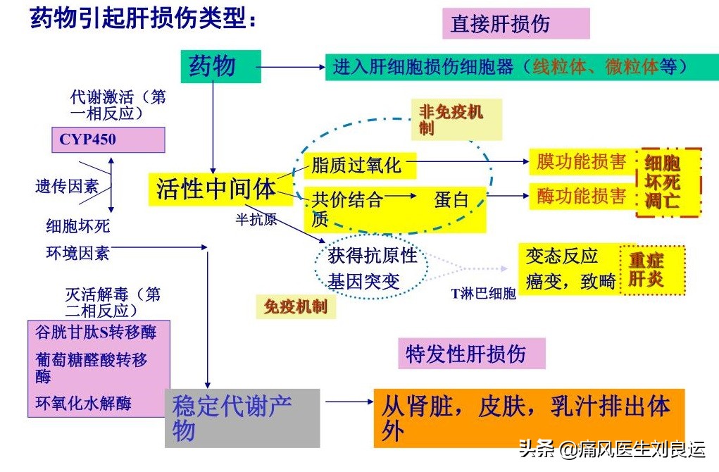 印度的非布司他比国产药降尿酸效果更好？治疗痛风请先对症再用药