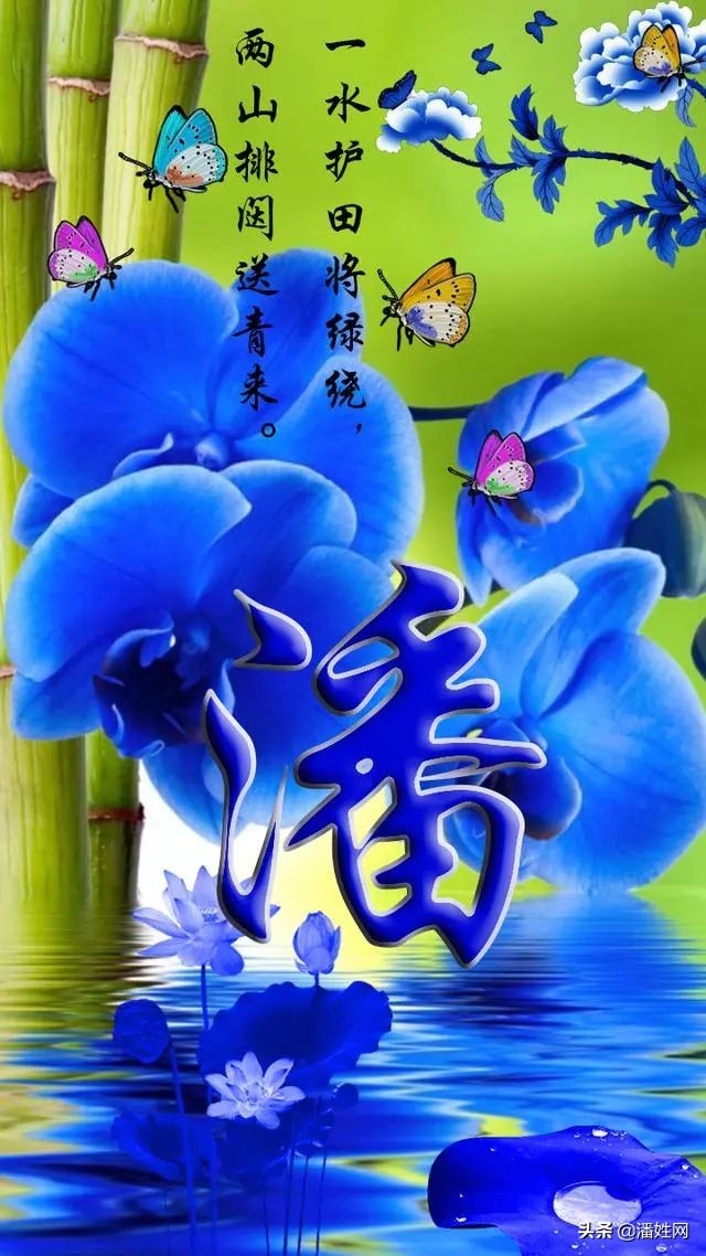 2020潘姓女孩名字_达一风水网