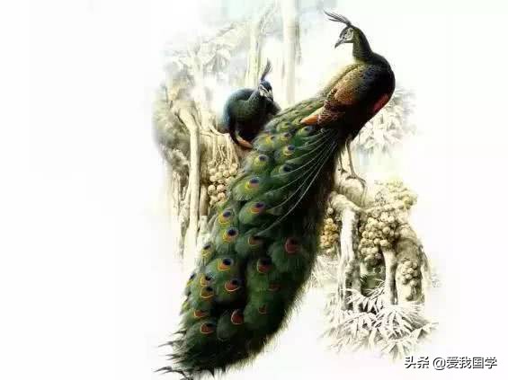 《孔雀东南飞》赏析！一曲唱绝千古的悲歌，一个断人心肠的故事