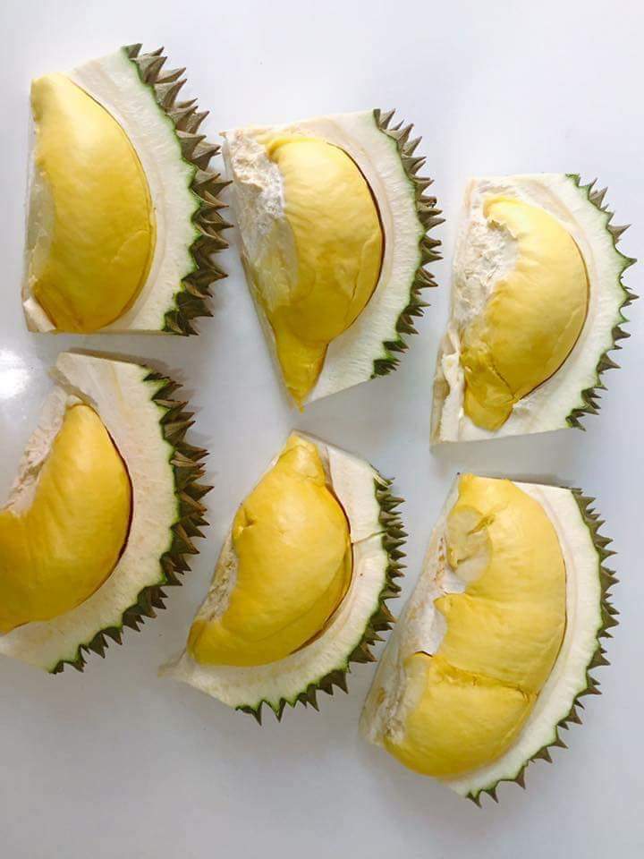 泰国托曼尼榴莲,够黄够色重口味!详细介绍,赶紧收藏