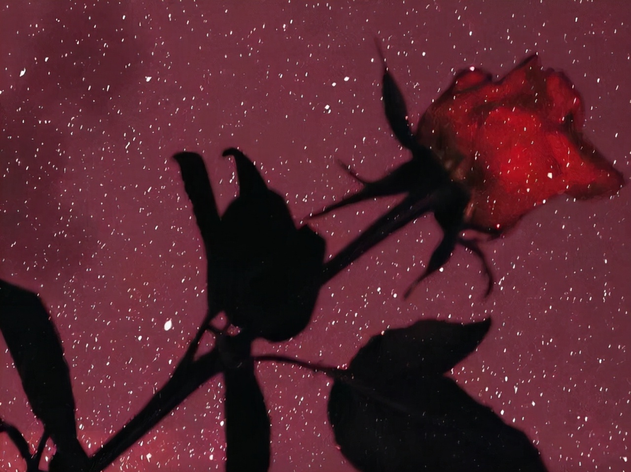 狮子座：细微之处见真情，他们的爱，隐藏在哪些细节里？