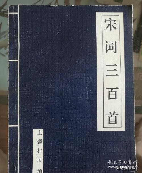 宋词世界杯完整版(谁是词圣？且看那一场穿越时空的“宋词世界杯”，结果出人意料)