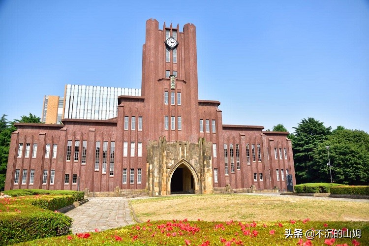 印度理工学院世界排名（宝藏干货世界各国知名大学排名）