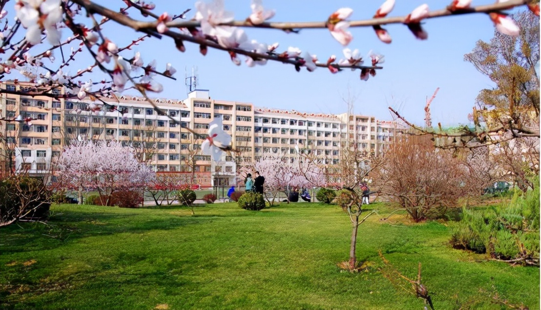 985高校改名“翻车”，改名后名气大跌，无奈改回原名，名气回归