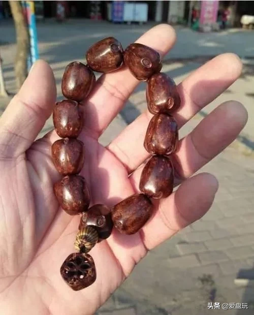 能在山上“白嫖”的10种手串,包浆超美