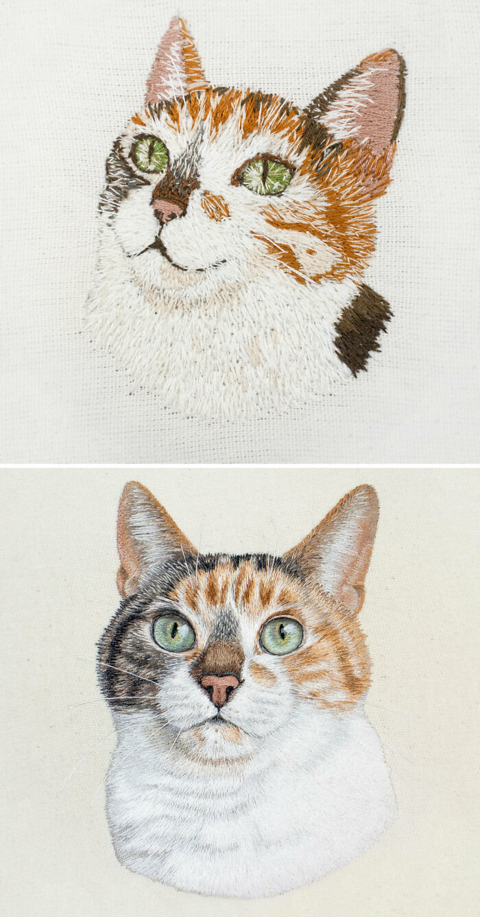 超逼真的刺繡藝術(shù)，這些照片讓你懷疑自己的眼睛