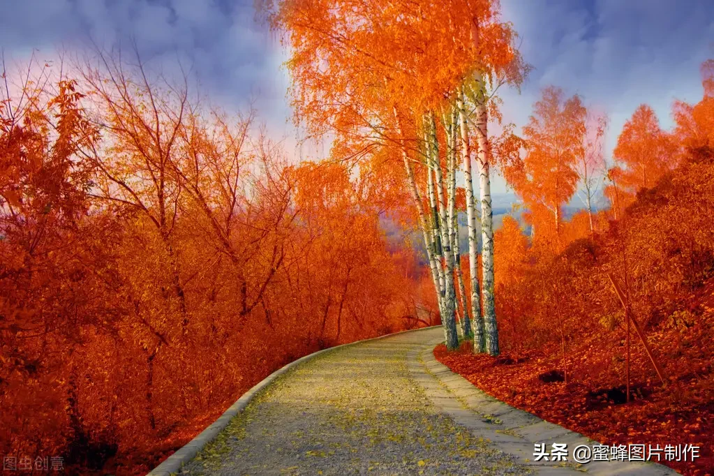 微信头像壁纸，秋天的气息