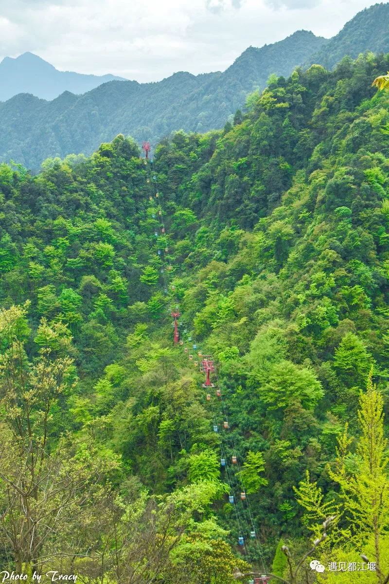 到青城山，解锁夏日最最最清凉的耍法