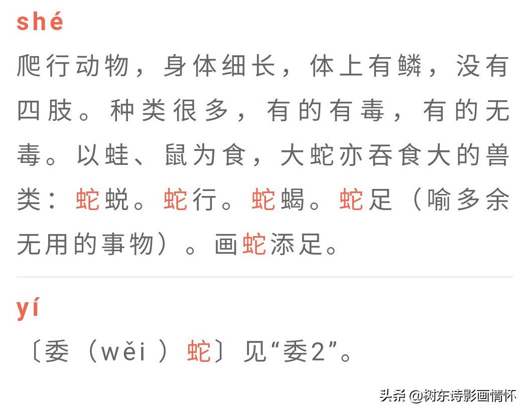 树东说文解字:"蛇"字的演变,"蛇"字的典故,"蛇"字的成语