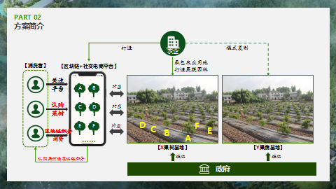 如何打造果树茶园农业区块链电商平台，实现农产品溯源，产业升级