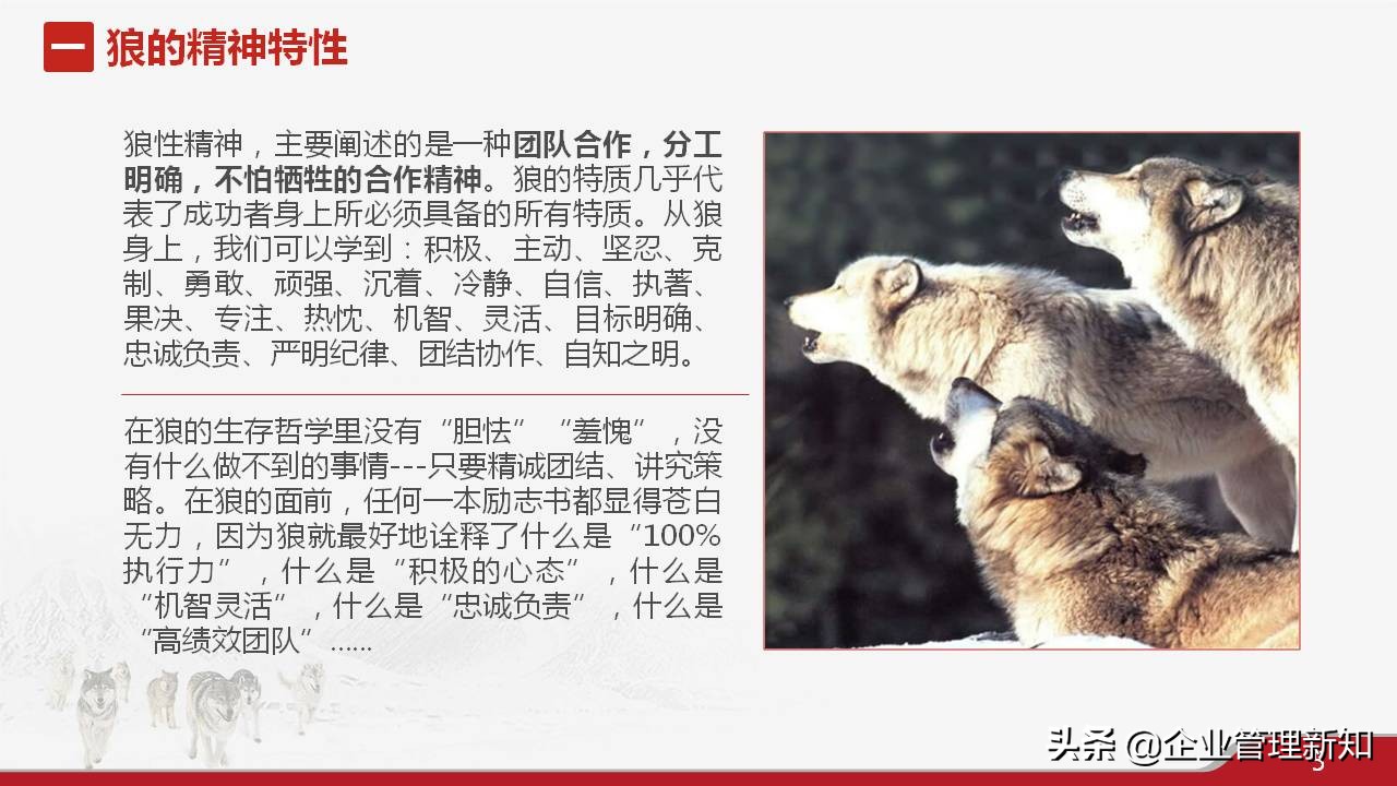 33页完整版，狼性文化与企业精神培训PPT，可直接用于员工培训