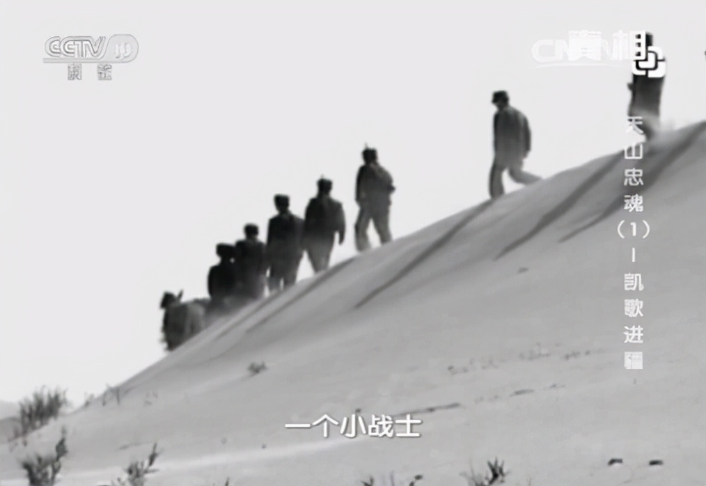 17位老人在宾馆地毯上睡了一夜，他们是谁？