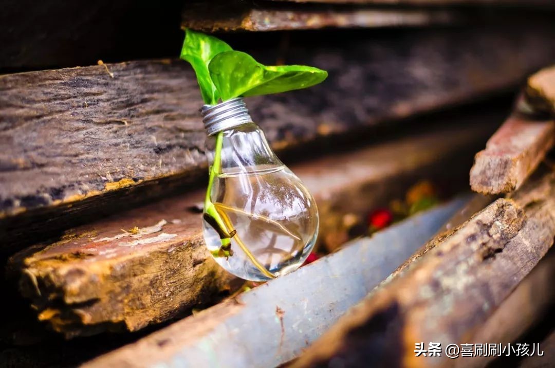 遇见你是我们的缘分，离开你是我们的缘分已尽