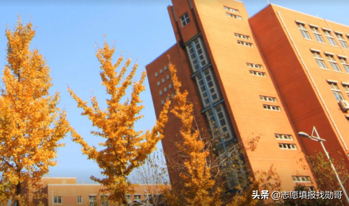 河南排“第一”的大学，没有A类学科但报考的人不少，就业很不错