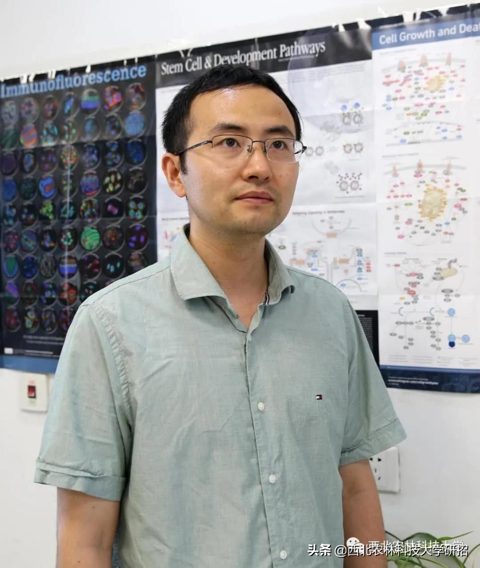 骄傲！陕西10位