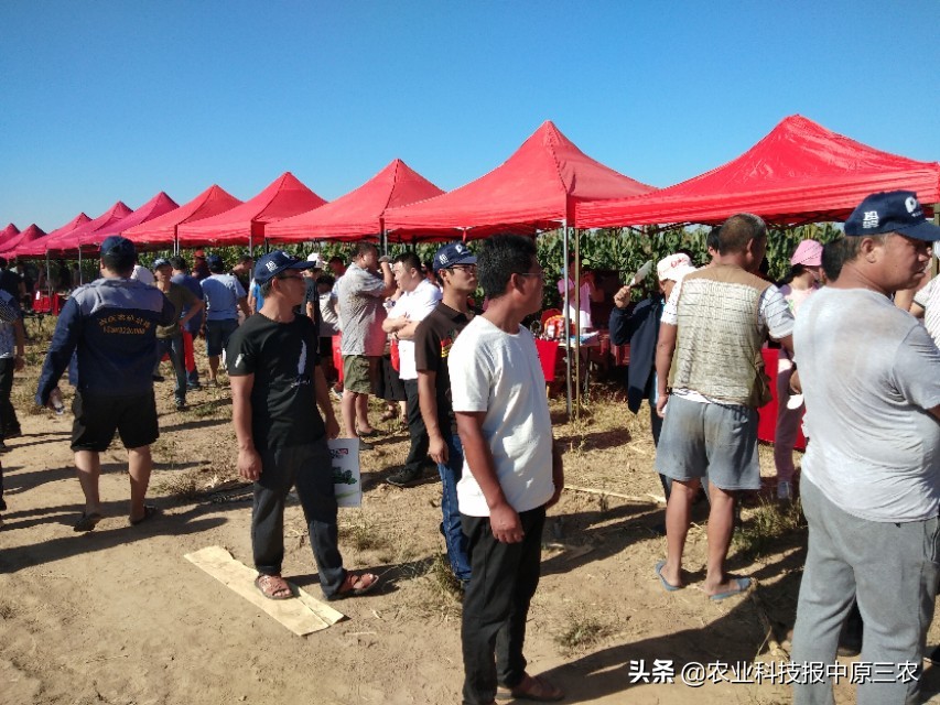 規(guī)模盛大！第二屆華北農(nóng)機(jī)地頭展在中國龐口成功舉行