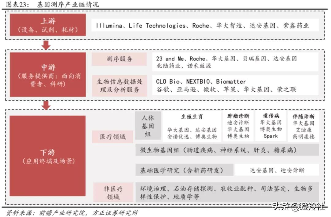 下一个CXO赛道？龙头三季度业绩暴涨3倍，掀开千亿蓝海市场面纱