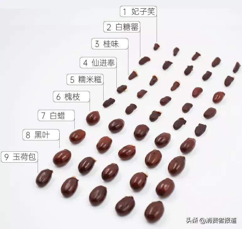 9款荔枝对比测评：玉荷包、黑叶果核大；仙进奉、白糖罂受欢迎