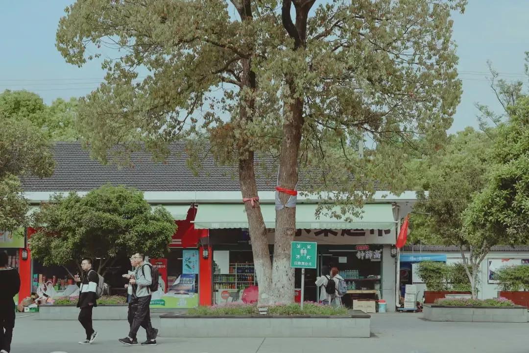 江苏省高校（六十六）苏州大学应用技术学院
