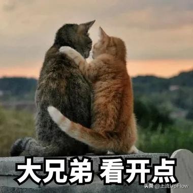 为什么安徽看上去像三个省？