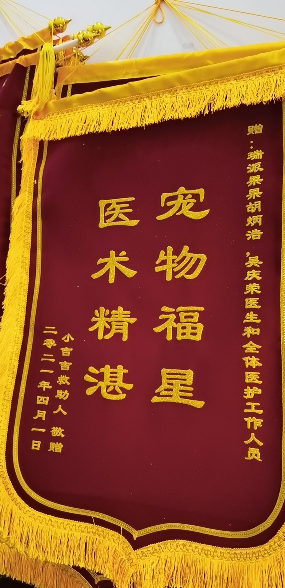 平凡而伟大：致敬最美兽医人