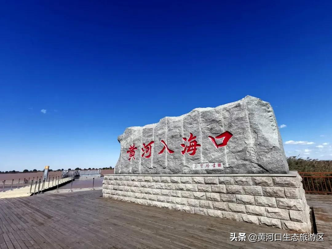 【黄河口生态旅游区】我已最美 欢迎回家
