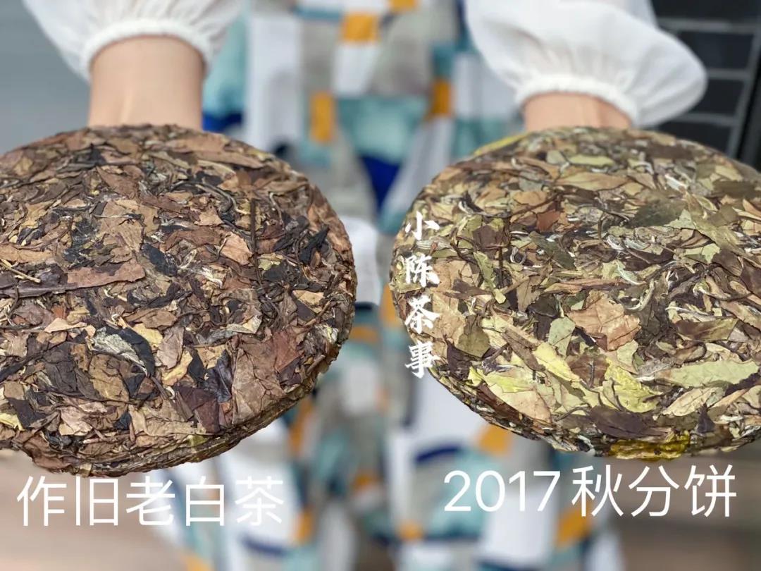 上万元的高档白茶，喝出几十块的廉价味道，怎么了？