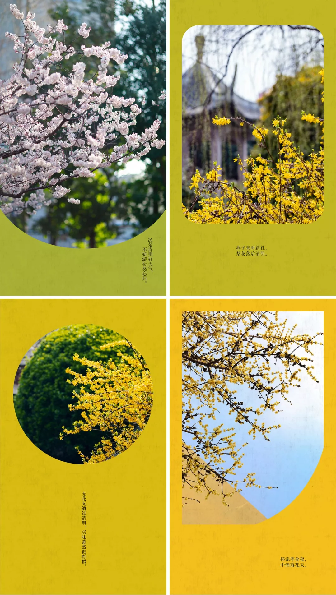 中国这10所大学壁纸第二期！厦门大学、中山大学等在列