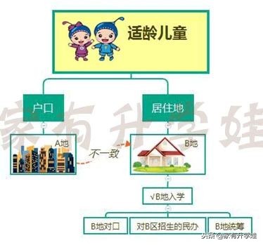 扫盲丨幼升小入门必须知道的11个名词和暗语！