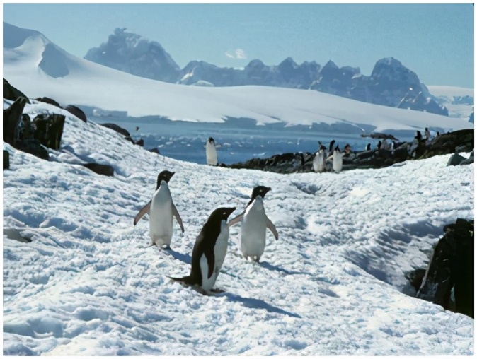 地球最冷在南极，宇宙最冷在何处？只比绝对零度高一度
