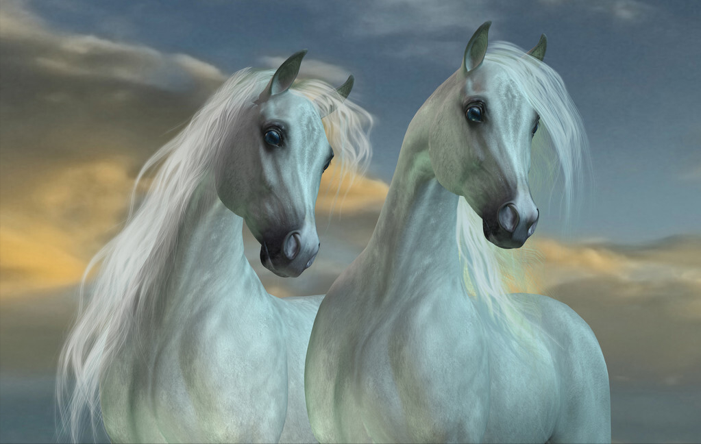 小白兔屁股疼的故事寓意 _飞翔号