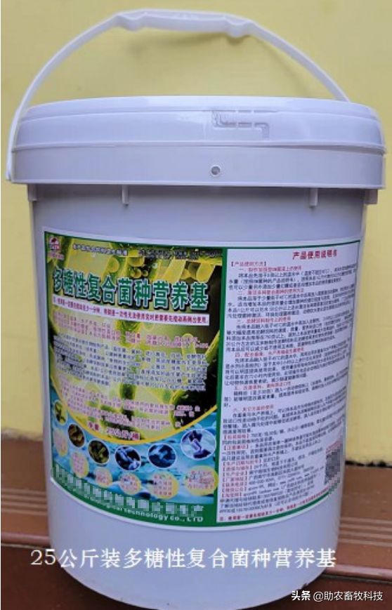 制作发酵饲料运用多糖性复合菌种营养基代替玉米降低成本效果更好