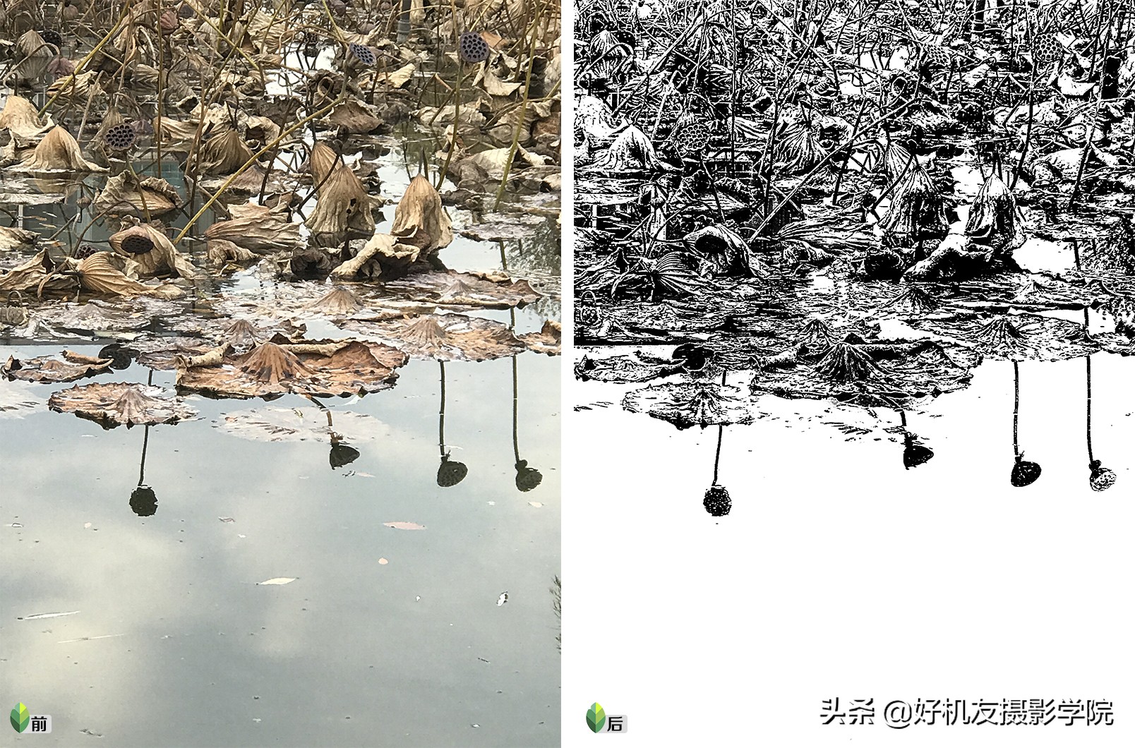 Ps≠专业，手机后期≠低端，选择适合自己的后期工具才是最重要的