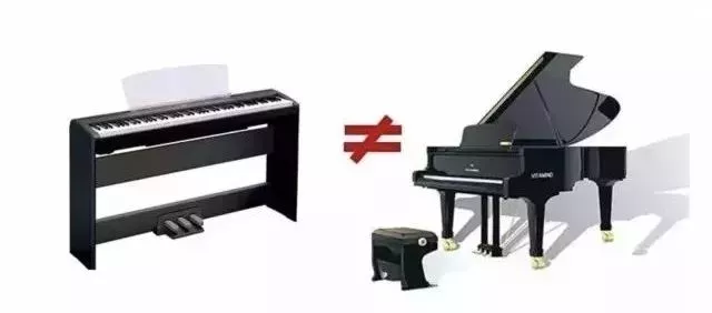 学电子琴能代替钢琴吗？它们之间的区别在于哪？这3张图就能说明