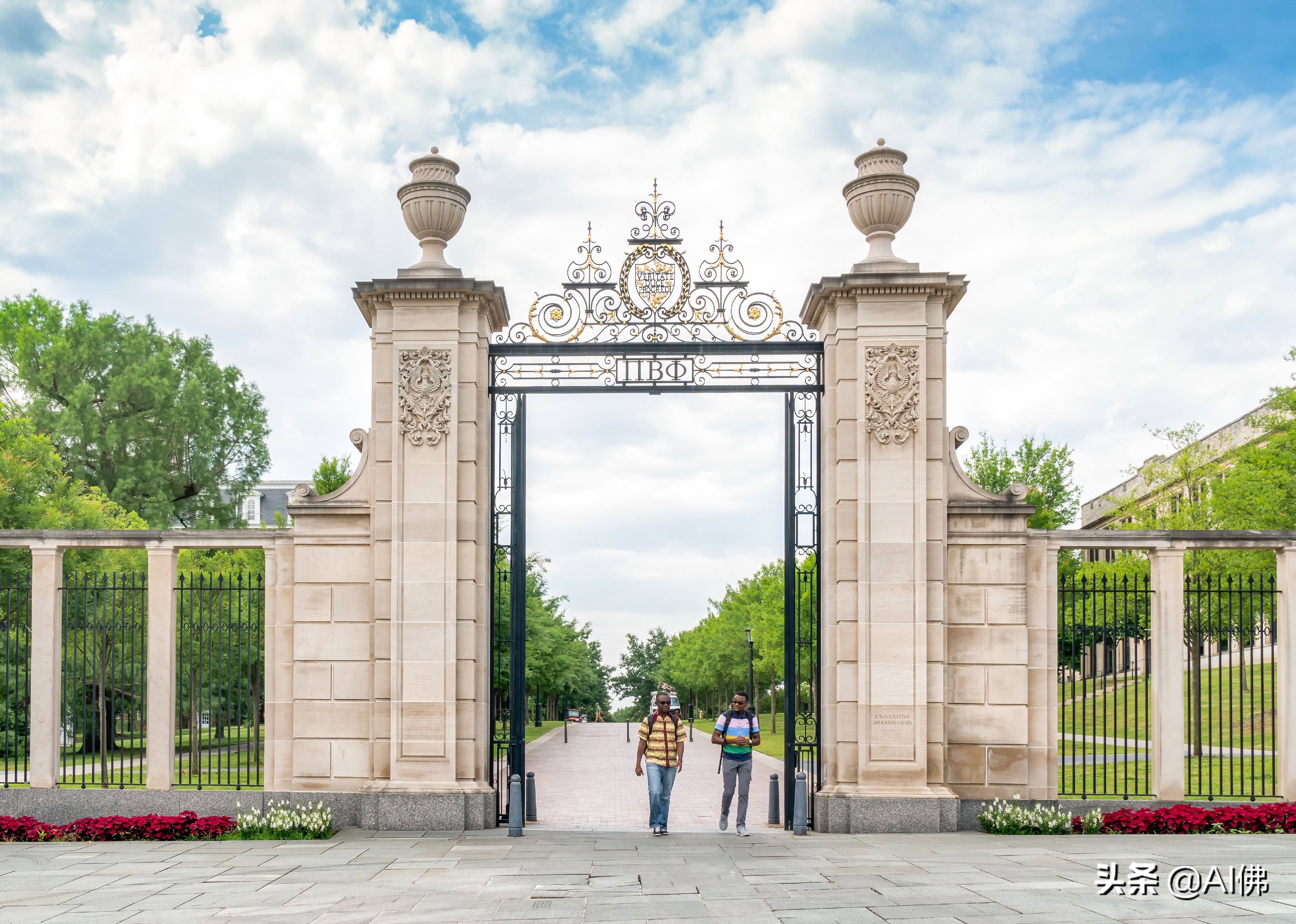 美国每个州ROI最高的公立大学