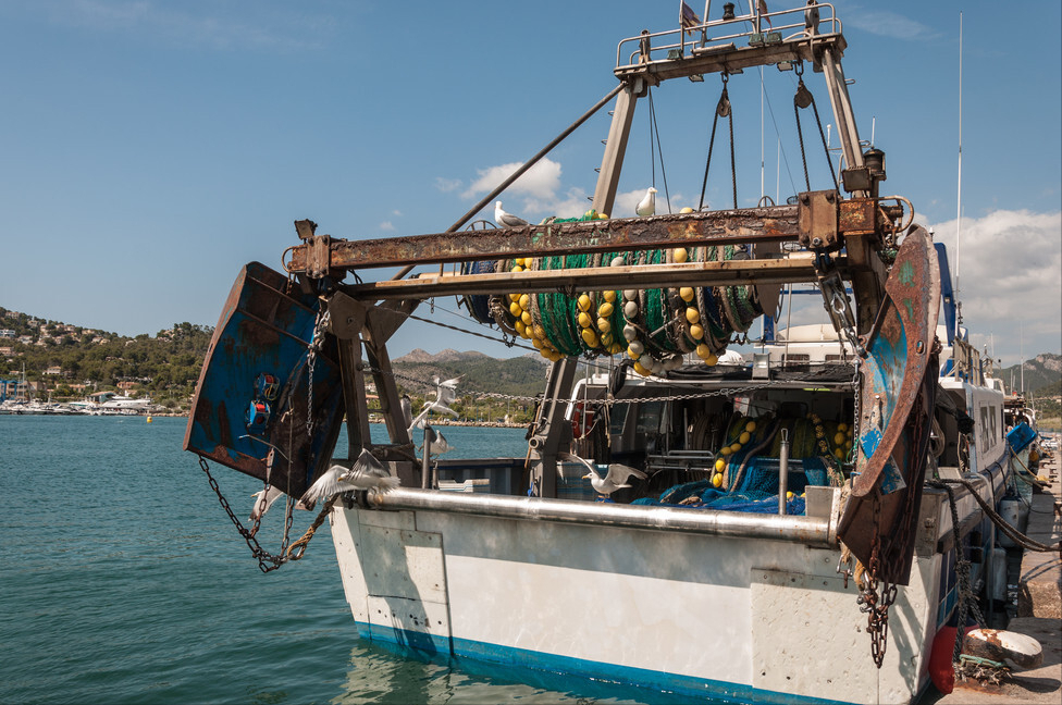海域使用权变动后，渔业养殖户如何主张补偿？